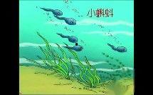 小蝌蚪视频