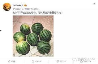 我要吃瓜网黑料吃瓜王,我要吃瓜网黑料背后的真相