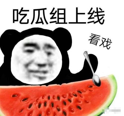 今日黑瓜吃料,揭秘今日热点事件背后的真相与内幕