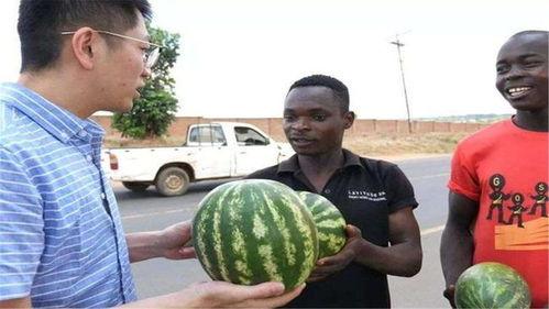 黑料吃瓜网在线吃瓜,带你畅游娱乐圈，揭秘明星幕后故事