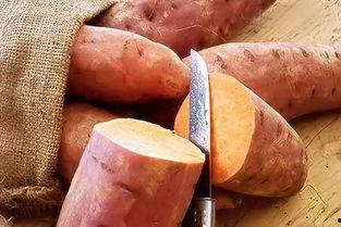 四平地瓜今日价格,实惠之选，品质生活新体验