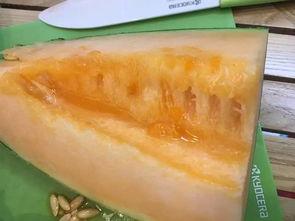 吃瓜爆料柳州,揭秘当地美食与趣闻