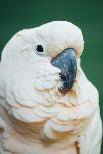 每日黑瓜吃料,揭秘娱乐圈幕后故事